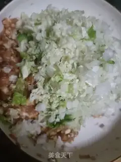 Make Pork dumplings step 7
