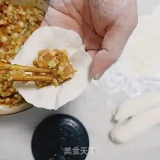 Make Pork dumplings step 9