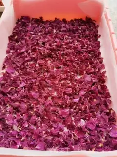 Make A red sugar rose ginger date tea step 9
