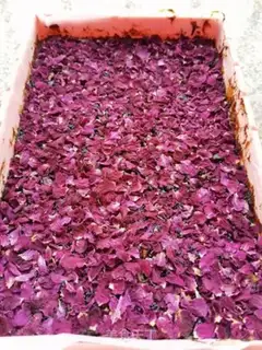 Make A red sugar rose ginger date tea step 13