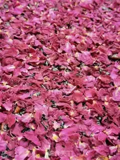 Make A red sugar rose ginger date tea step 16