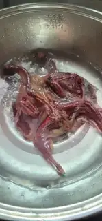 Make Vacuate quail step 1