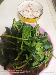 Make Chicken chest, pumpkin spinach salad step 0