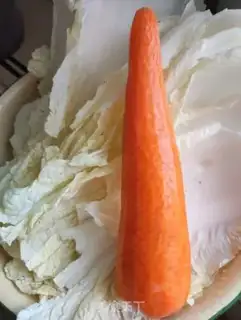 Make Carrot and cabbage step 0