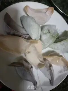 Make Vegetable dumplings step 0