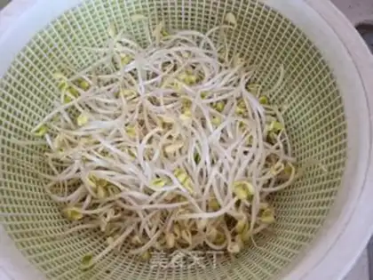 Make Soybean sprouts step 0