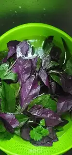 Make Garlic pickles step 0