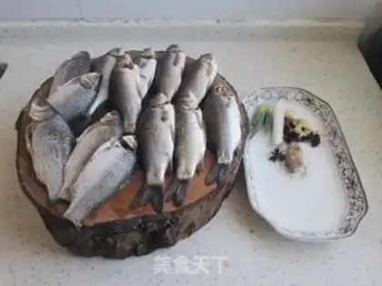 Make Red-burned minnow step 0