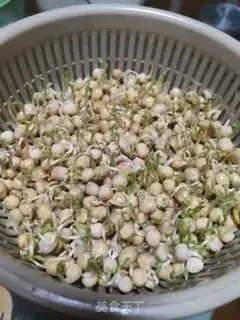 Make Splendid pea seed step 0