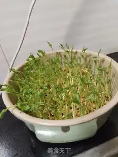 Make Splendid pea seed step 1