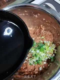 Make Pork dumplings step 8