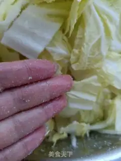 Make Pickles step 5