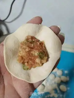 Make Pork dumplings step 11