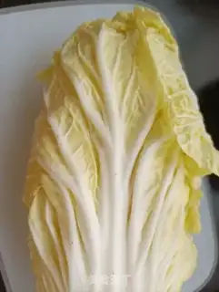Make Cabbage with sea cucumber step 0