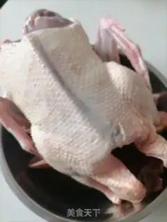 Make Duck step 0