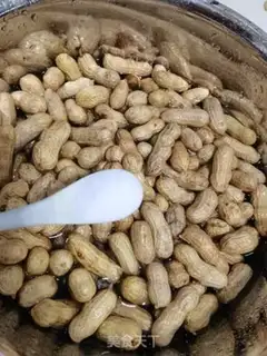 Make A halogenated peanut step 0