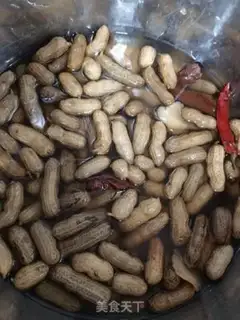 Make A halogenated peanut step 7
