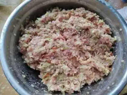 Make Pork dumplings step 0