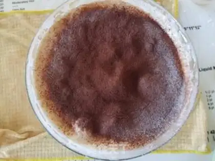 Make Christmas chocolate stake cake step 5