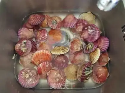 Make Scallop step 0