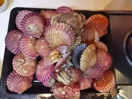 Make Scallop step 4