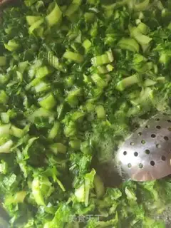 Make Pork dumplings step 9