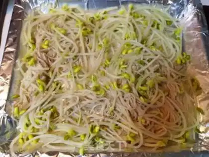 Make Homemade fish step 16