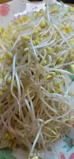 Make The bean sprouts step 0