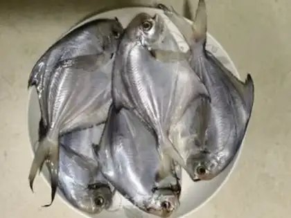 Make ♪ Vacuated little whitefish ♪ step 0