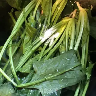 Make Spinach fried eggs step 0