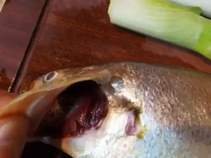 Make Burning yellow fish step 1