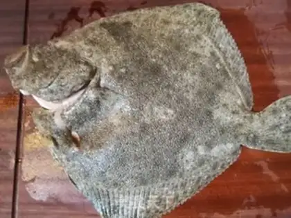 Make Fresh fish step 0