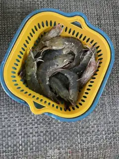 Make Shrimp egg omelet noodles step 1