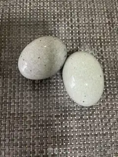 Make Frozen eggs step 6
