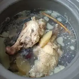 Make Chicken soup for sea cucumber step 2