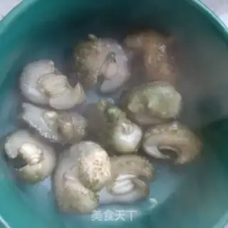 Make Chicken soup for sea cucumber step 7