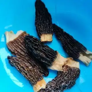 Make The lamb
