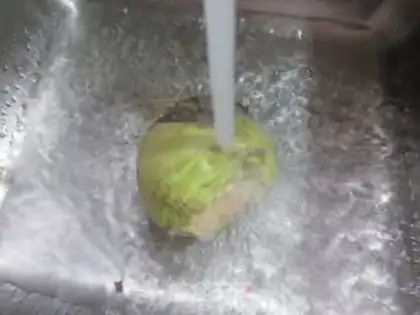 Make Soy sauce step 1