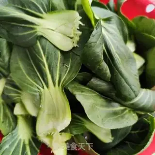 Make Garlic green step 0