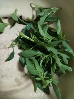 Make Tomato lily egg soup step 3
