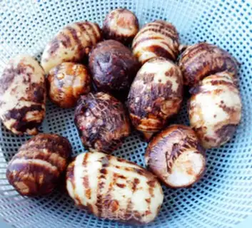 Make Potato soup step 1