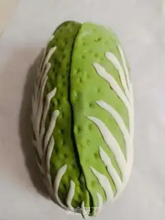Make Biscuit step 8