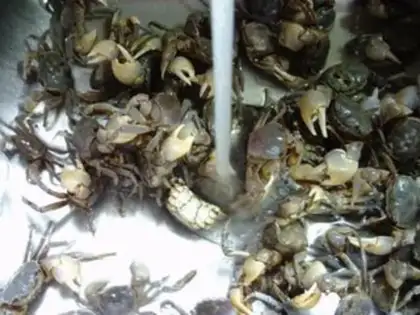 Make Crabs step 3
