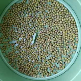 Make Auto green bean sprouts step 1