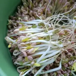 Make Auto green bean sprouts step 10