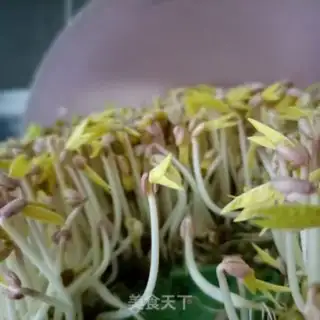Make The fragrance of the sea fragrances with green bean buds step 0