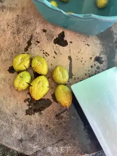 Make The olives step 3