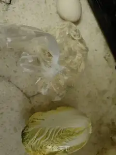Make Egg noodles step 0