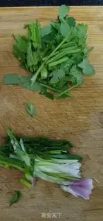 Make Clear the silverfish step 2