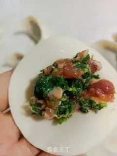 Make Pork dumplings step 7